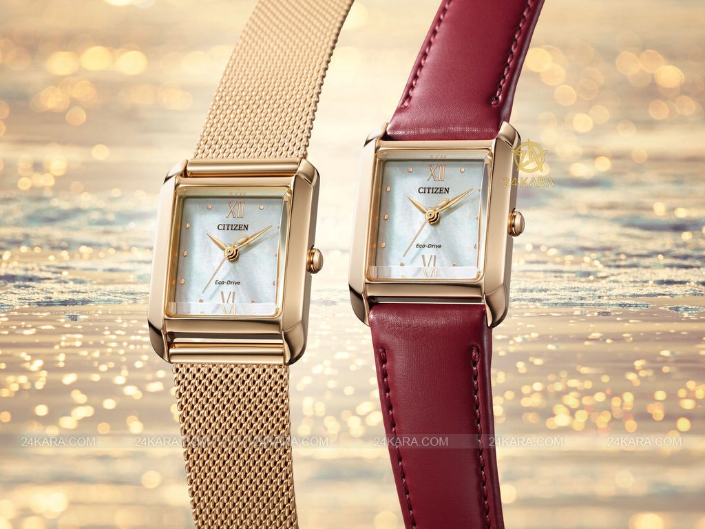dong_ho_citizen-2