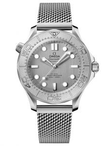 Đồng hồ Omega Seamaster Diver 300M 210.30.42.20.06.002 42 Steel
