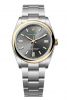 dong-ho-rolex-oyster-perpetual-36-m126003-0001-126003-0001-vang-kim-va-thep-oystersteel-mat-so-xam-da-phien - ảnh nhỏ  1