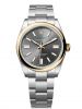 dong-ho-rolex-oyster-perpetual-41-m134303-0001-134303-0001-demi-vang-18ct-oystersteel-mat-so-xam-slate - ảnh nhỏ  1
