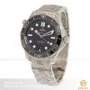 dong-ho-omega-seamaster-diver-300m-210-30-42-20-01-001-42-steel - ảnh nhỏ 3