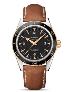 Đồng hồ Omega Seamaster 300 233.22.41.21.01.001 41 Yellow Gold Steel