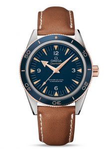 Đồng hồ Omega Seamaster 300 233.62.41.21.03.001 41 Sedna Gold Titanium