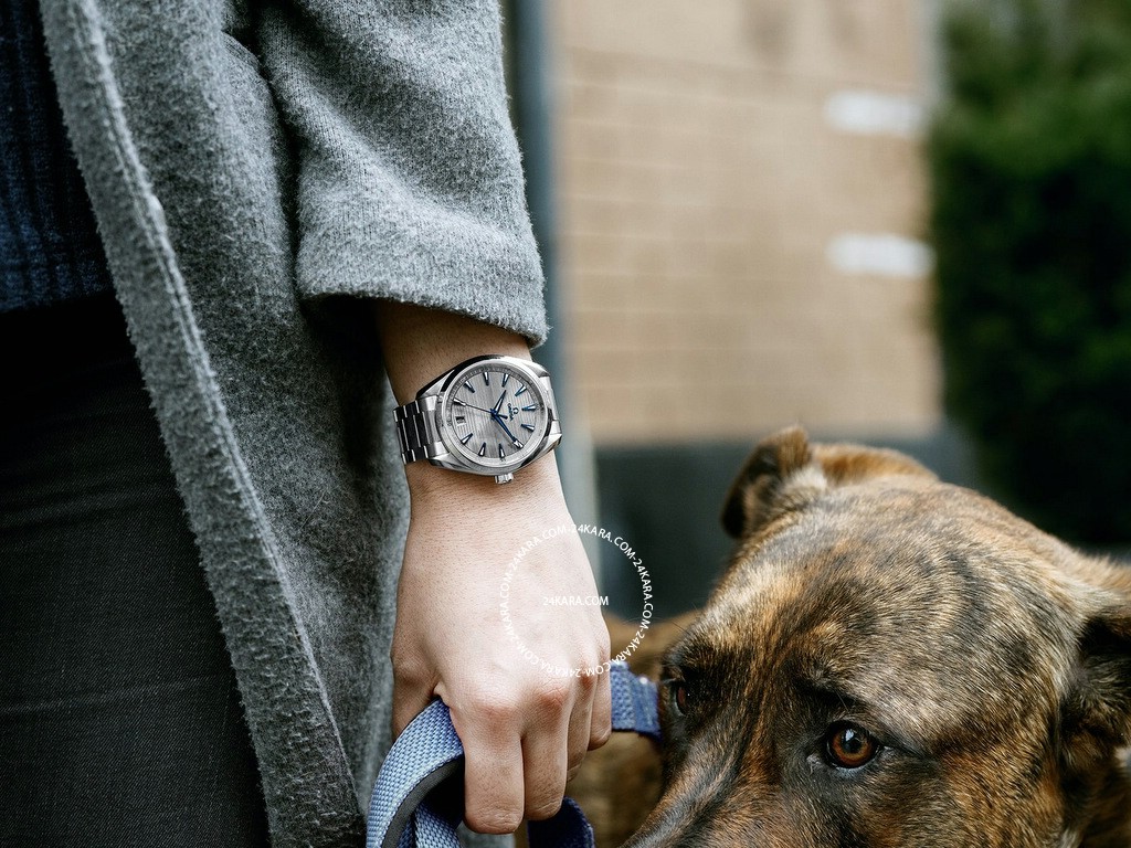 omega41wristlandscape001